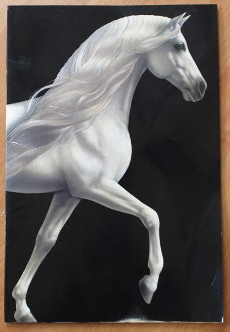 Souvenirbrochure CAVALIA (paarden) - origineel - IZGST, Ophalen of Verzenden, Zo goed als nieuw, Overige typen