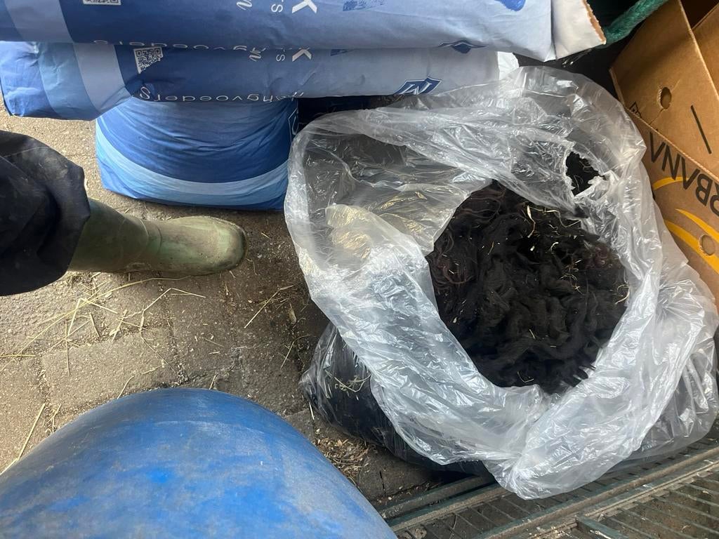 Te koop mooie dikke alpaca vacht wol, Ophalen of Verzenden, Nieuw, Spinwol