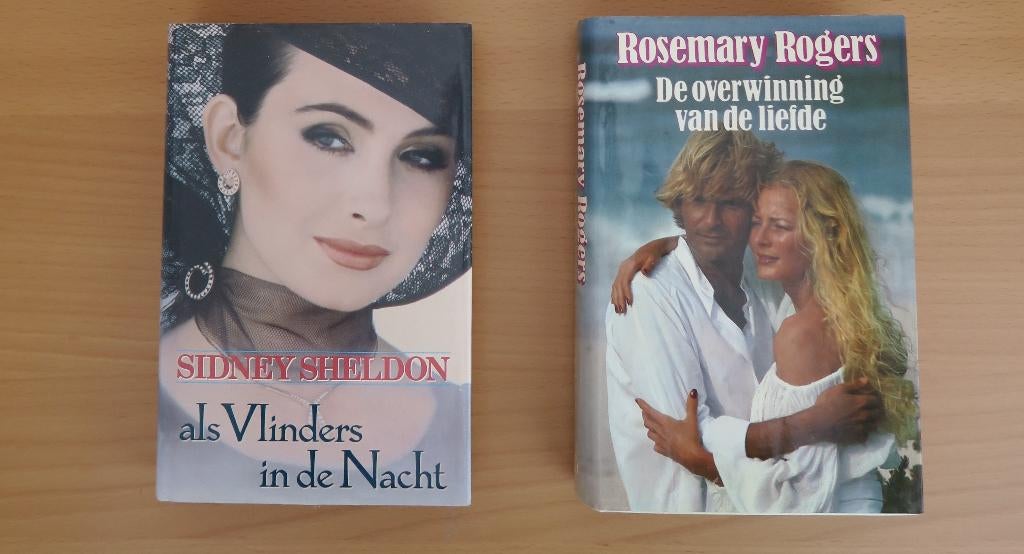 Twee dikke romans, Ophalen of Verzenden, Zo goed als nieuw