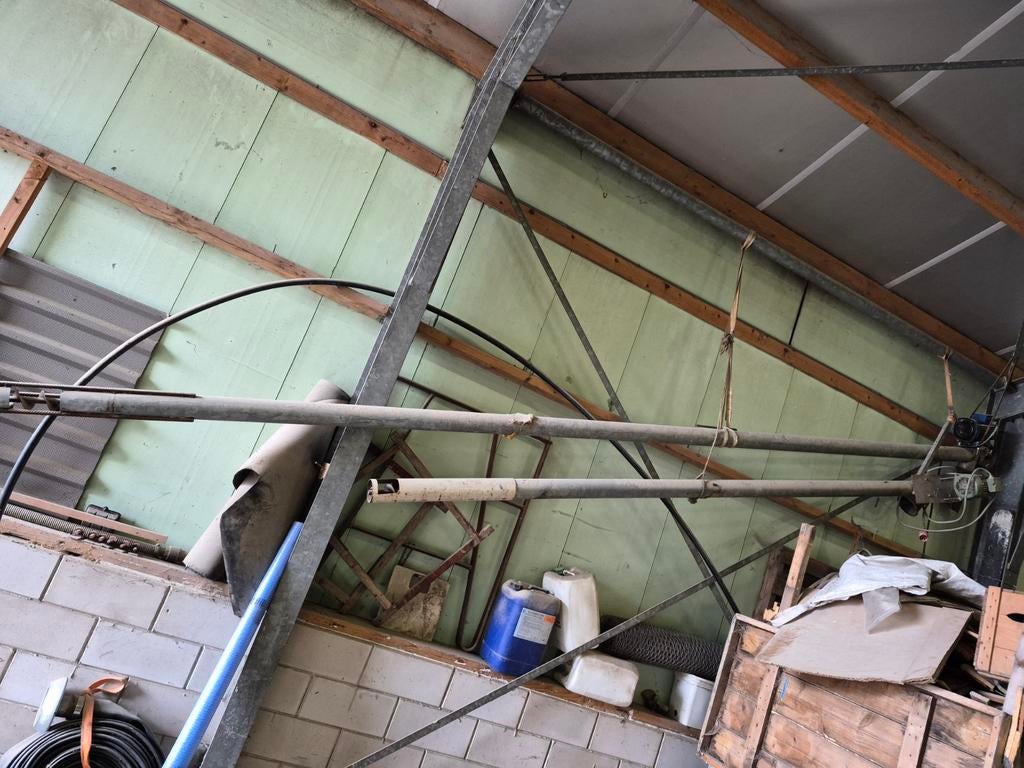 Voervijzel, Meerdere dieren, Schaap