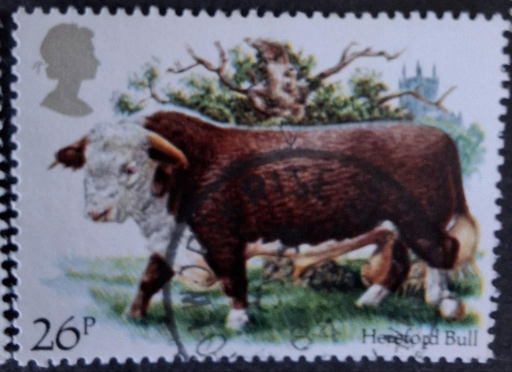 Engeland 978, Ophalen of Verzenden