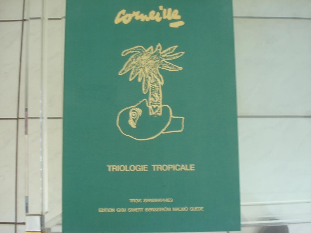Corneille Triologie Tropicale, Antiek en Kunst, Kunst | Litho's en Zeefdrukken, Ophalen