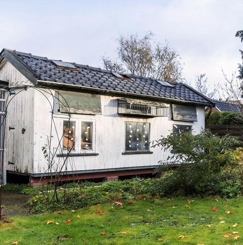 GRATIS hout, dakpannen af te halen - duivenhok, Ophalen, Gebruikt, Hout, Vogelkooi