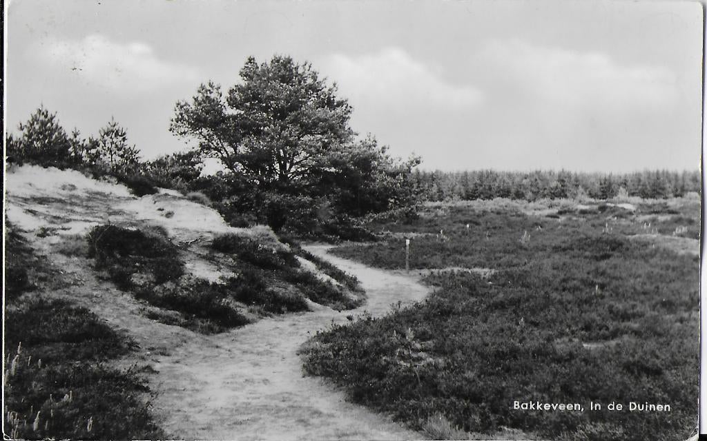 Pa1366 oude gelopen ansichtkaart bakkeveen in de duinen, Ophalen of Verzenden, 1960 tot 1980, Gelopen, Friesland