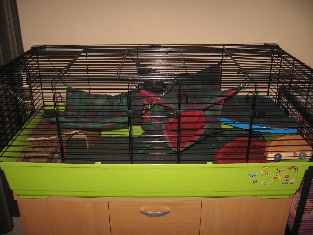 Caviakooi Tommy, Dieren en Toebehoren, Rat, Kooi, Ophalen, Minder dan 60 cm