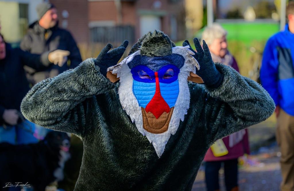 Apenpakken (verkleden / carnaval / jungle), Ophalen, Carnaval, Maat 42/44 (L), Kleding