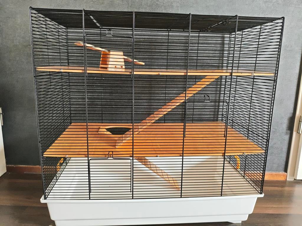 Knaagdieren kooi 3 verdiepingen, Ophalen, Kooi, 60 tot 90 cm, Minder dan 75 cm