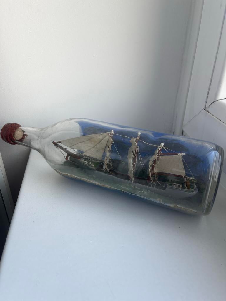 Diversen, Ophalen of Verzenden, Gebruikt, Mens