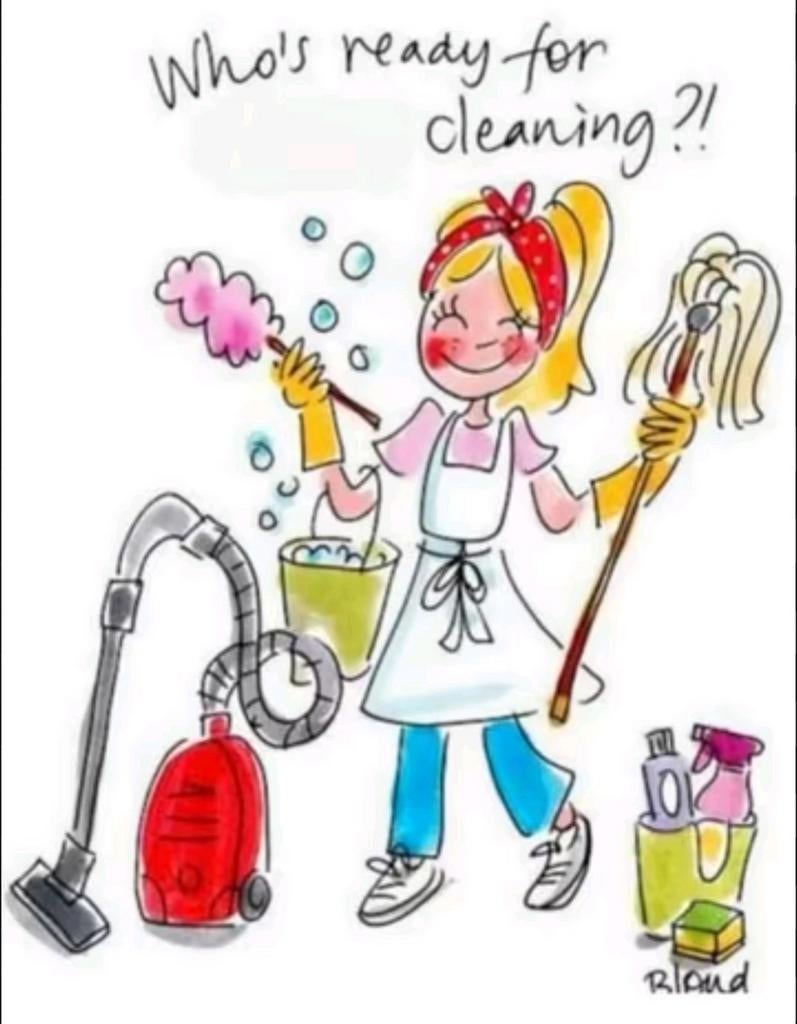 Schoonmaak hulp gezocht tweewekelijks