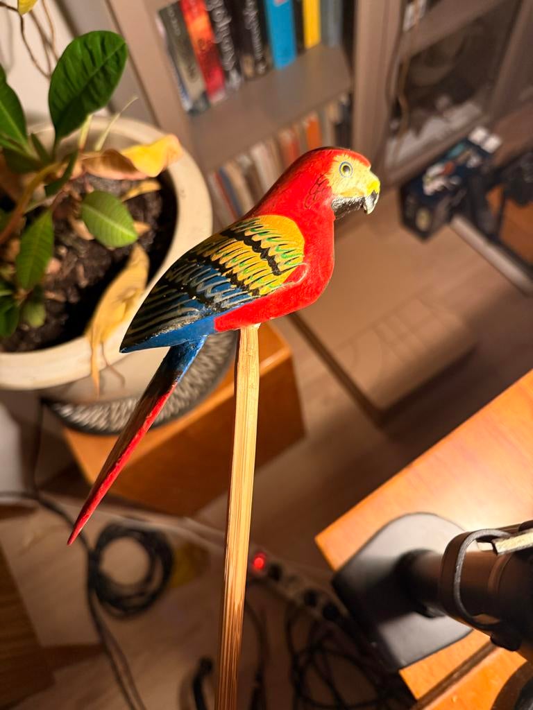 Vintage Handgeschilderde Decoratie Papegaai, Ophalen