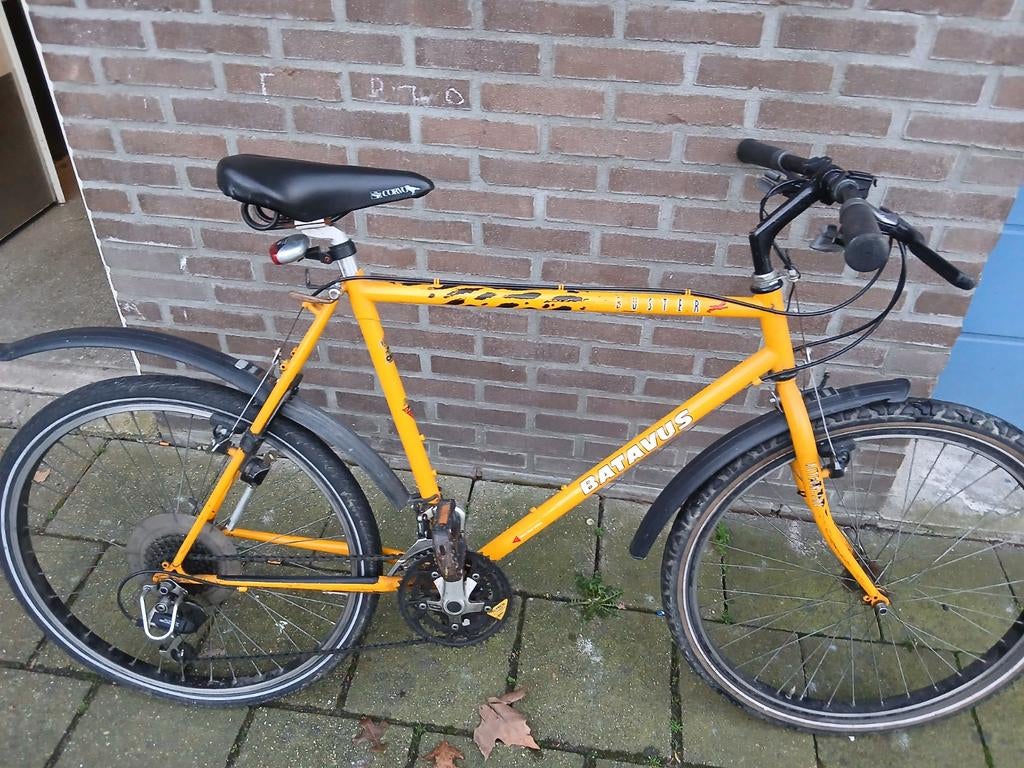 BaTaVuS BuSteR Mountainbike, Ophalen of Verzenden