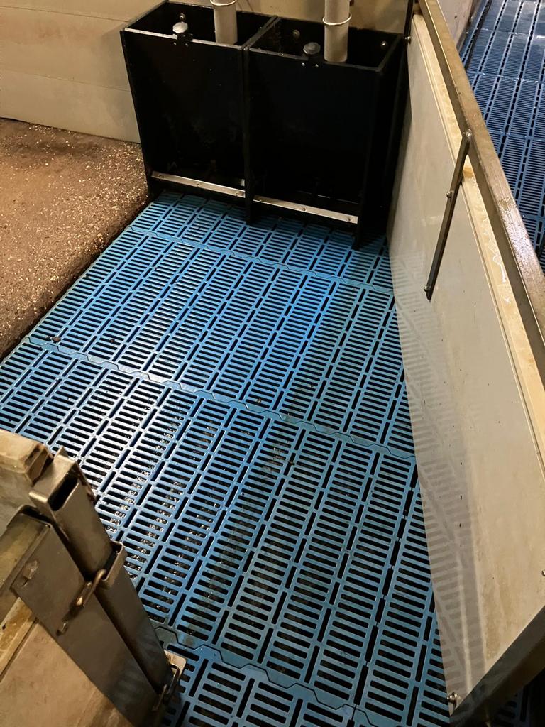 Kunsstof roosters, Meerdere dieren