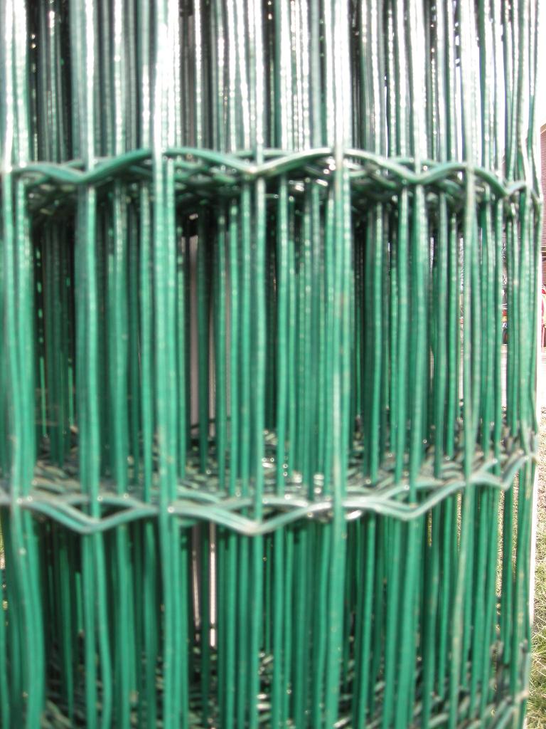 Gaas Eurofence 150 cm hoog maas 5x10 groen DRAADDIKTE 2,5MM, Ophalen, Nieuw, 20 meter of meer, Gaas