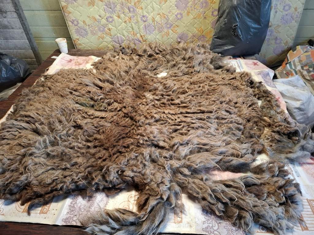 Romanov vacht  om te vilten, Ophalen of Verzenden, Nieuw, Spinwol