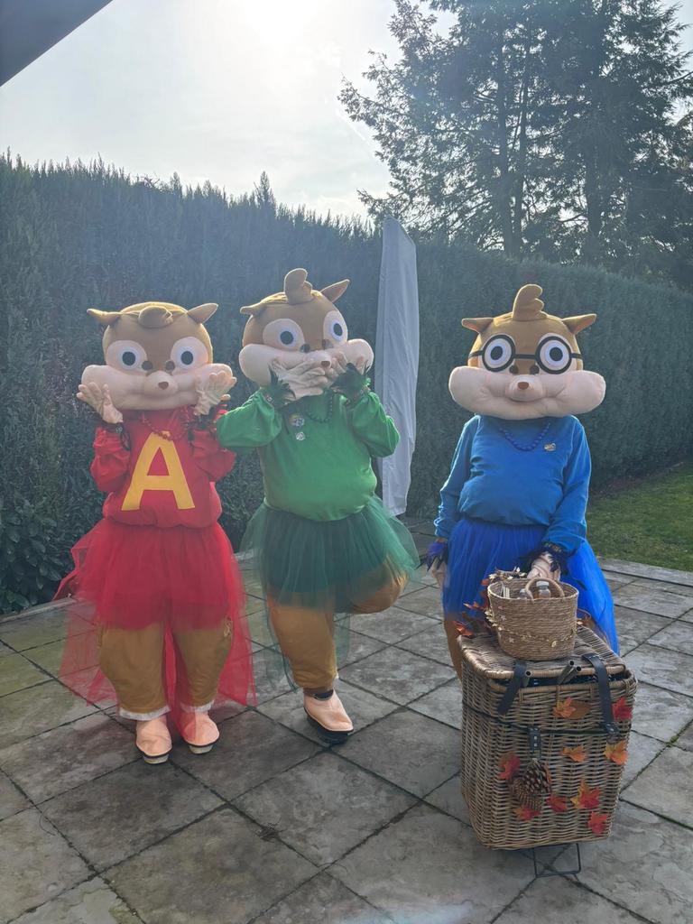 Loopgroep carnaval, Ophalen of Verzenden, Zo goed als nieuw, Carnaval