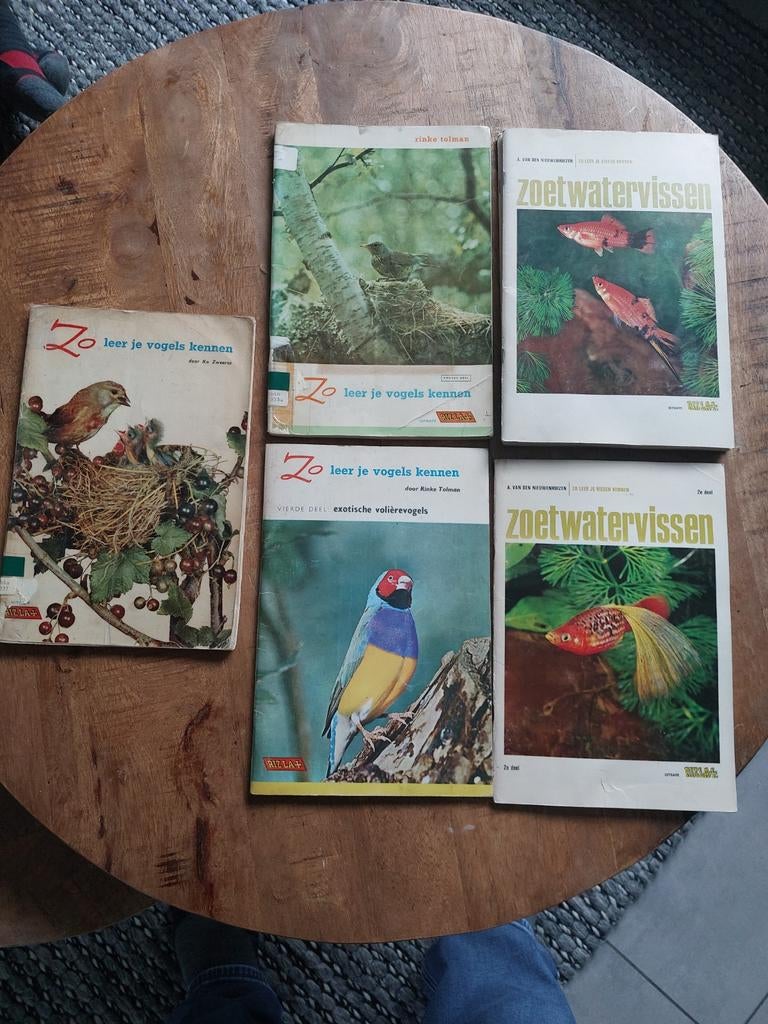 Rizzla Plakplaatjes - Zo leer je vogels kennen, Ophalen of Verzenden