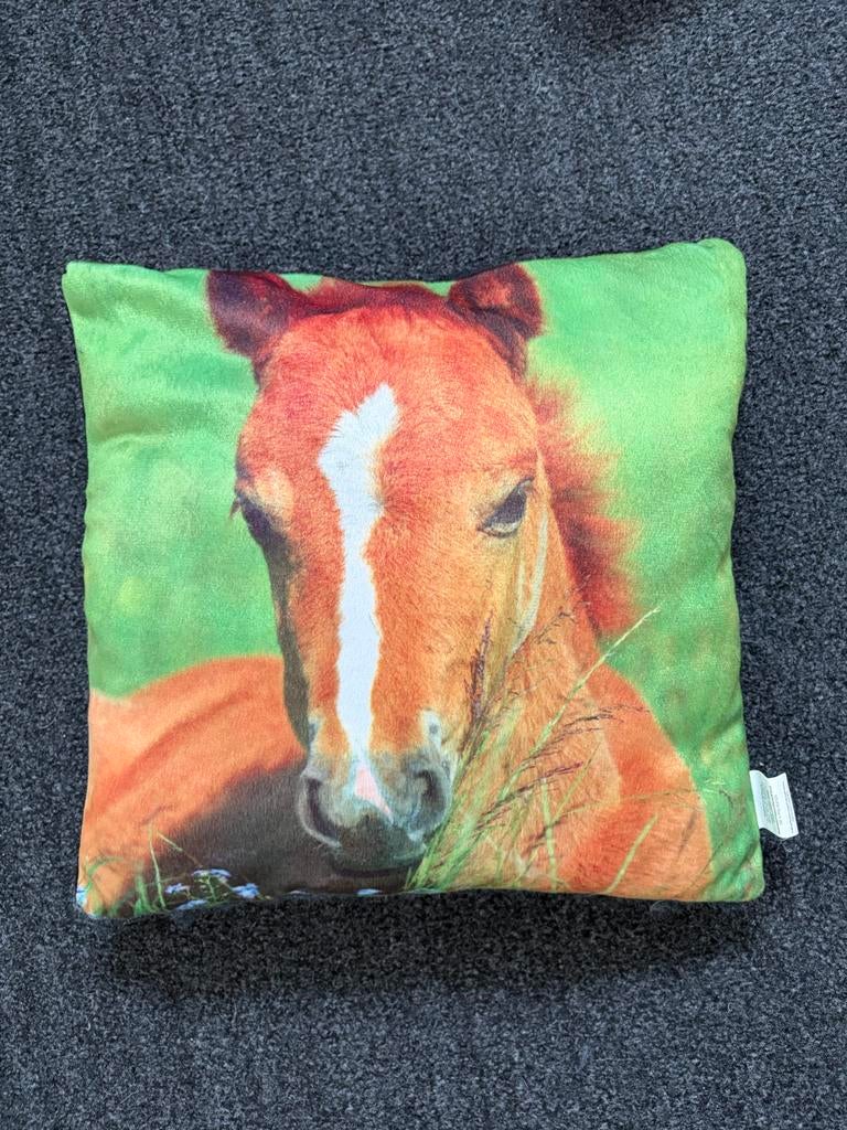 Leuke paarden sierkussens - apart of samen 2,50 per stuk, Huis en Inrichting, Woonaccessoires | Kussens, Ophalen of Verzenden