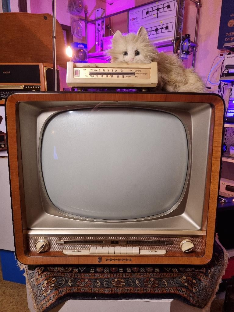 Zeldzame Philips 21 TX 290 A/00 TV uit 1960, Audio, Tv en Foto, Vintage Televisies, Ophalen, Gebruikt, 60 tot 80 cm, Philips