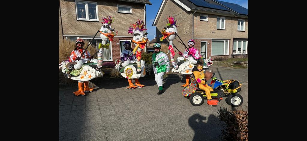 Feestbeesten, Ophalen of Verzenden, Gedragen, Maat 38/40 (M), Carnaval