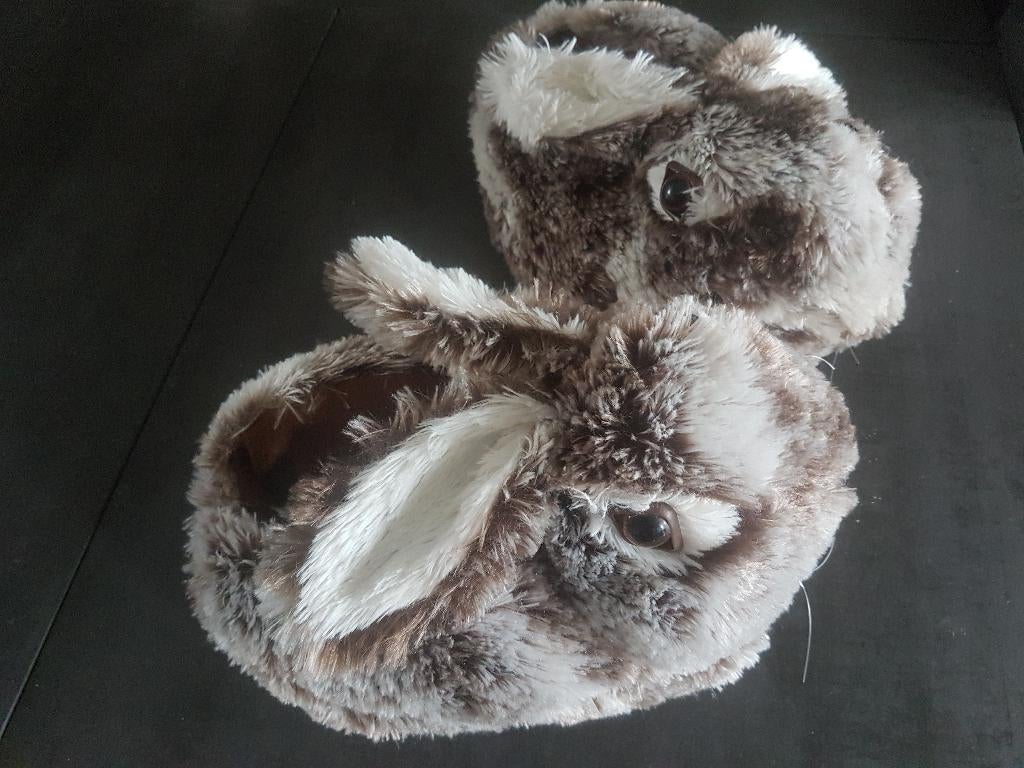 Schattig pantoffels, Ophalen of Verzenden, Gebruikt