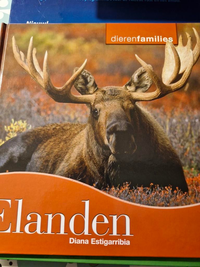Diana Estigarribia - Elanden, Diana Estigarribia, Fictie algemeen, Ophalen of Verzenden, Zo goed als nieuw