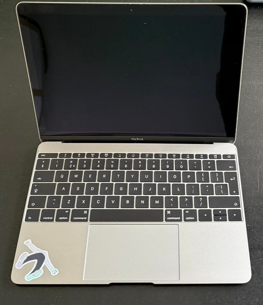MacBook 12” Retina display (2015), Computers en Software, Gebruikt, 256 GB, Qwerty, 8 GB