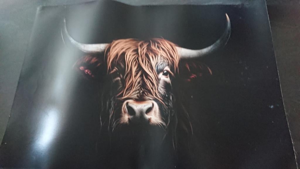 Inductie beschermer stier, Ophalen of Verzenden, Zo goed als nieuw