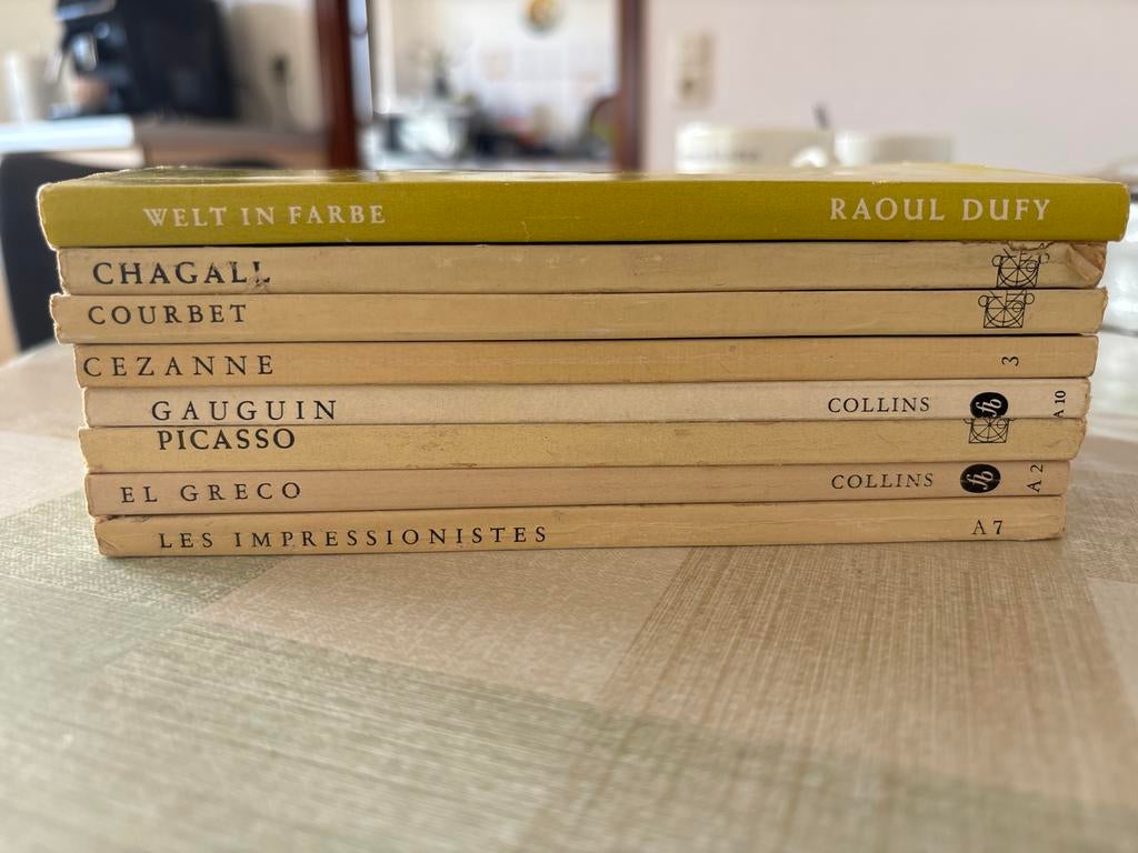 Diverse paperbacks kunstschilders, Ophalen of Verzenden, Gelezen, Schilder- en Tekenkunst