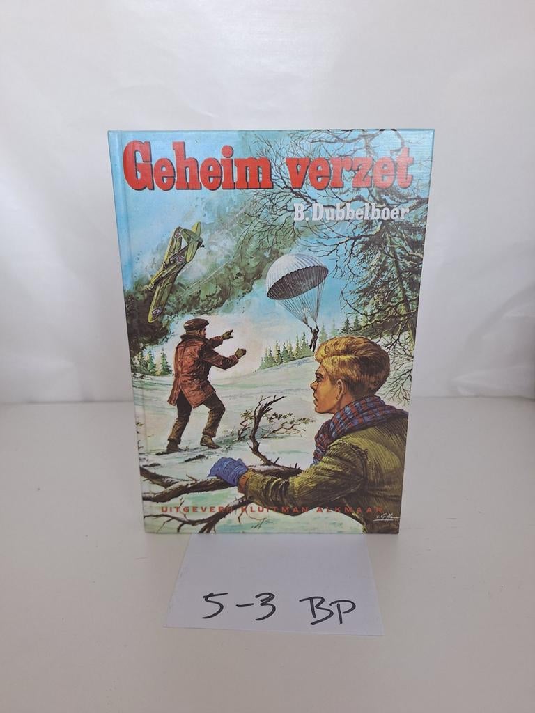 Geheim verzet - B. Dubbelboer (Jeugdboek), Ophalen of Verzenden, Gelezen, B. Dubbelboer, Fictie