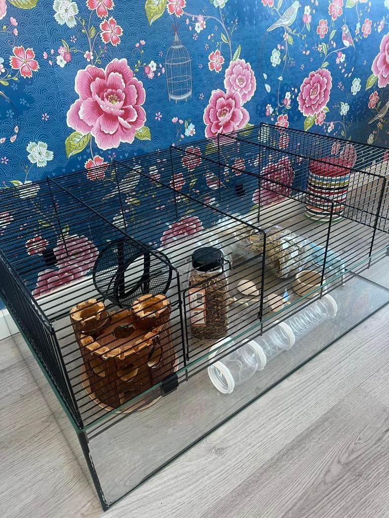 Kleine knaagdieren kooi, Kooi, Minder dan 75 cm, Ophalen, Minder dan 60 cm