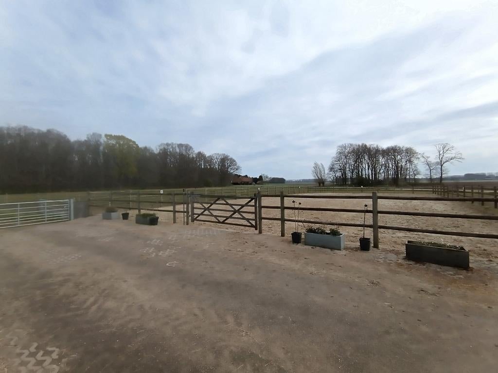 Jaarrond weidegang en stalling voor meerdere paarden, Weidegang, 4 paarden of pony's of meer