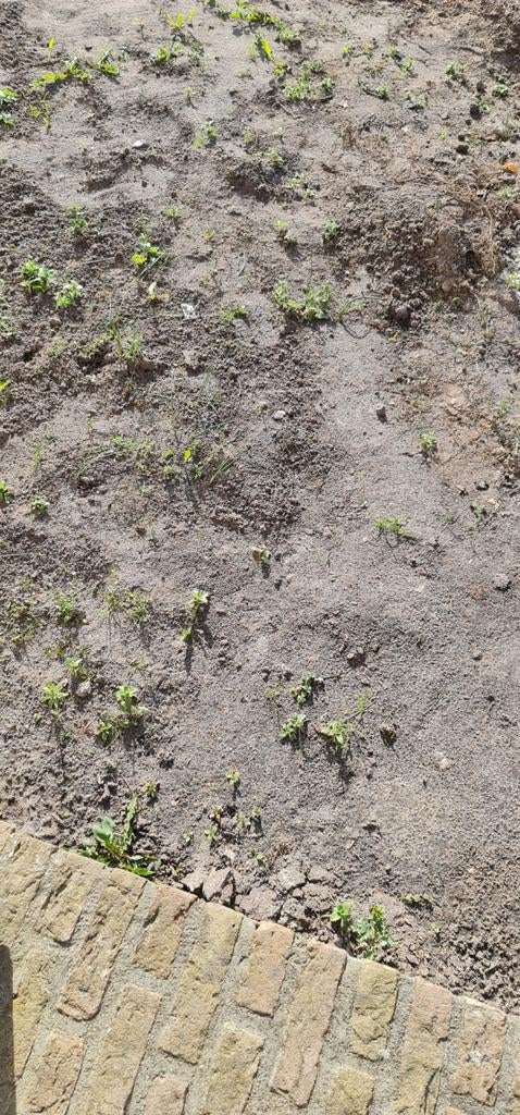 Zwarte grond voor tuin en planten, Tuin en Terras, Aarde en Mest, Tuinaarde, Ophalen