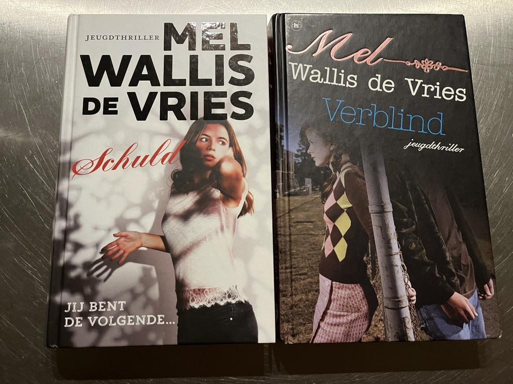 2 boeken van Mel Wallis de Vries: Schuld en Verblind, Ophalen of Verzenden, Zo goed als nieuw