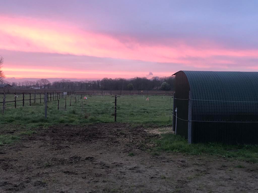 Weide met schuilstal eigen beheer, Dieren en Toebehoren, Stalling en Weidegang