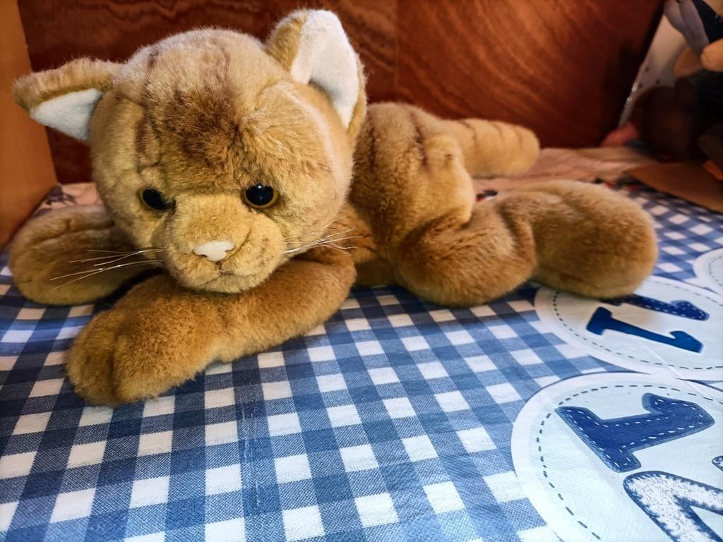 Bruine poes / kat knuffel 20 cm groot, Ophalen of Verzenden, Zo goed als nieuw