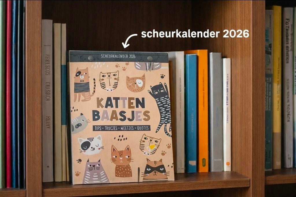 Katten scheurkalender 2026, Ophalen of Verzenden, Dagkalender, Nieuw