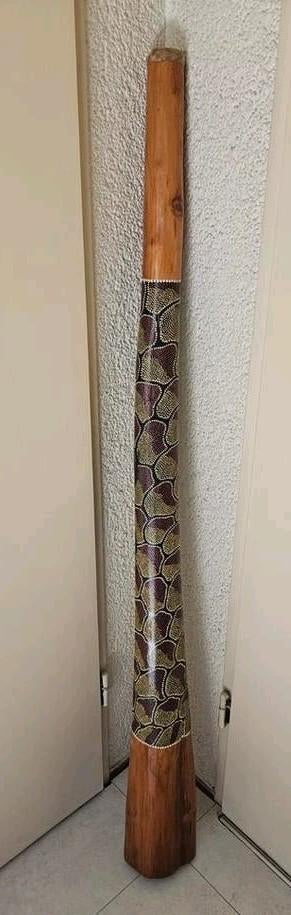 Didgeridoo met handgeschilderde slangdecoratie, Muziek en Instrumenten, Blaasinstrumenten | Didgeridoos, Ophalen, Gebruikt