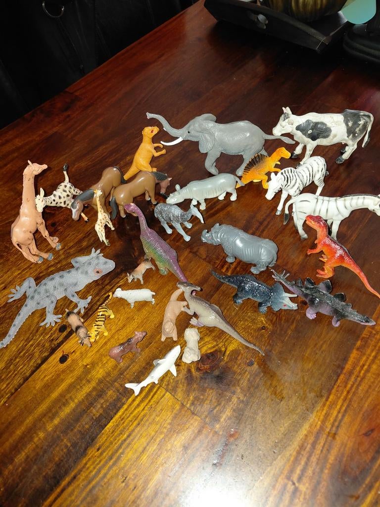 Diverse dieren, Ophalen of Verzenden, Jongen of Meisje