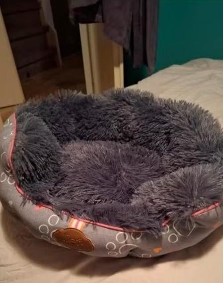 kattenmand, Ophalen, Zo goed als nieuw, Overige