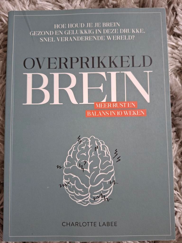 Charlotte Labee - Overprikkeld brein, Ophalen of Verzenden, Zo goed als nieuw, Charlotte Labee