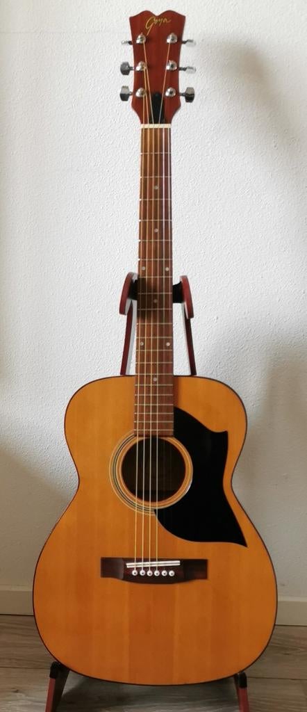 Goya (by Martin) akoestische folk-/Country gitaar., Ophalen of Verzenden, Zo goed als nieuw, Western- of Steelstringgitaar