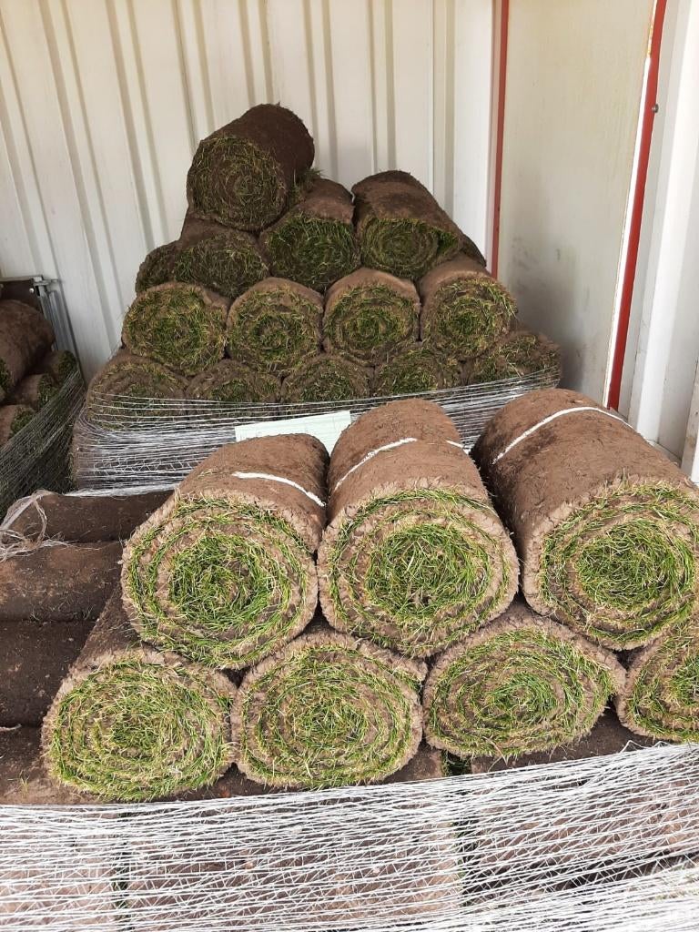 We snijden weer Graszoden Vandaag leggen. Zoden op voorraad, Ophalen of Verzenden, Nieuw, 20 m² of meer, Gras