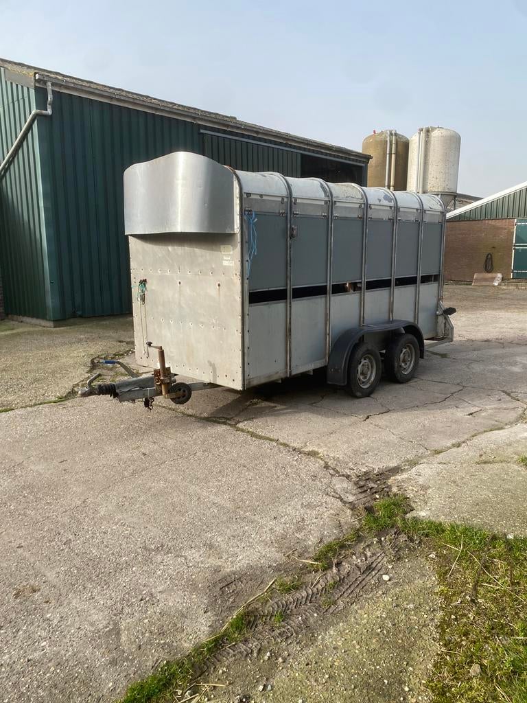 Ifor Williams veewagen 2500kg, Ophalen, Gebruikt