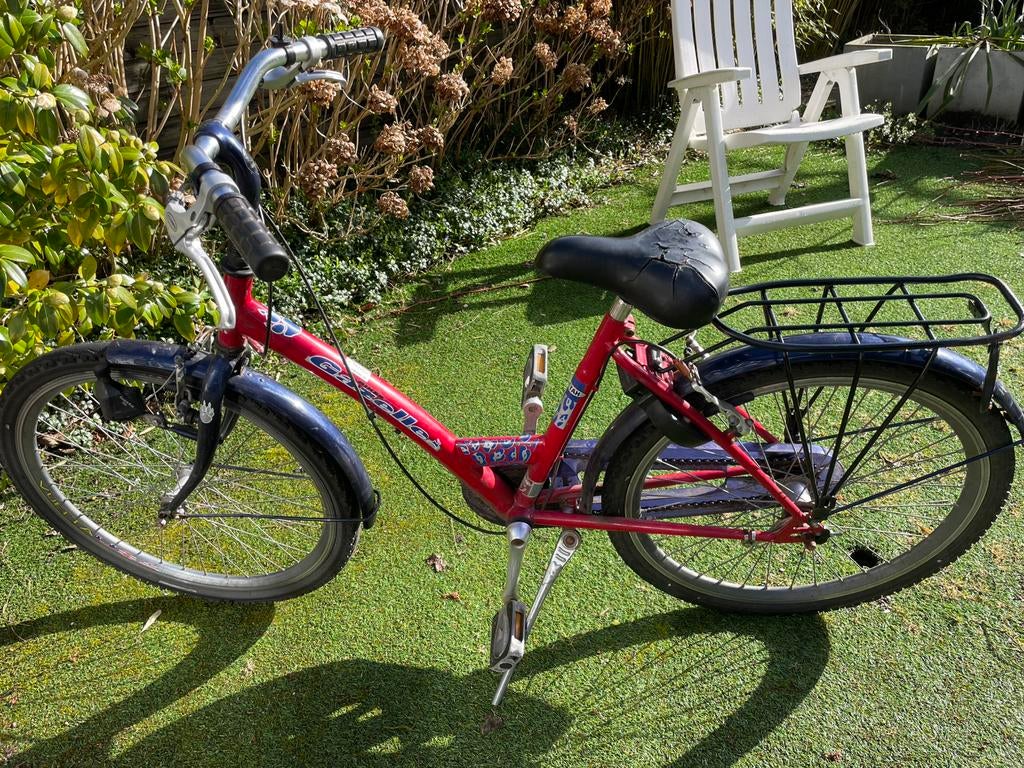 Gazelle Cheetah 24” voor jongens of meisjes, Ophalen, Gebruikt, 20 inch of meer