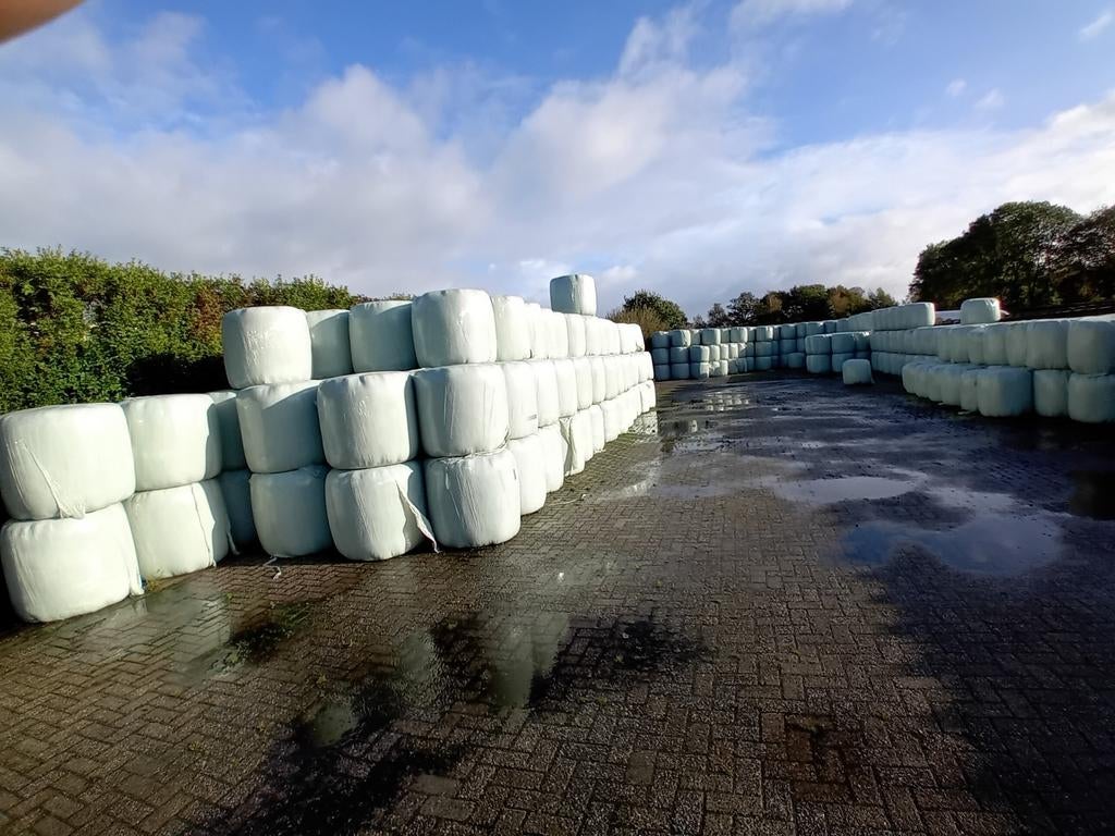 Midi Balen 3e snede Hooi te Koop, Zakelijke goederen, Agrarisch | Veevoer, Ophalen of Verzenden