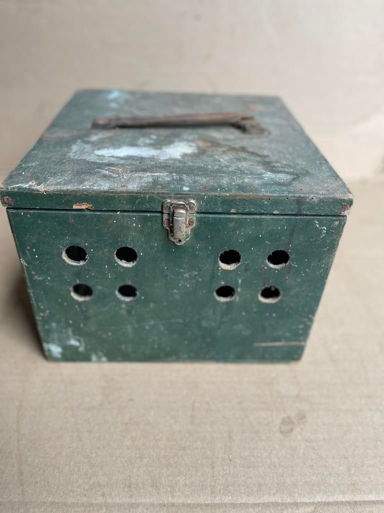 Oldschool koffer voor vervoer van duiven in de duivensport, Mannelijk, Postduif