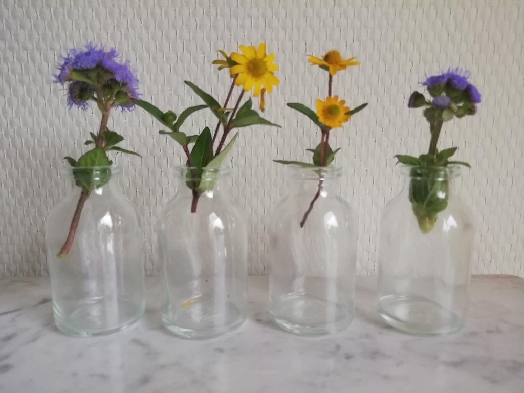 Glazen flesjes - vaasjes, mini, Huis en Inrichting, Woonaccessoires | Vazen, Ophalen of Verzenden, Overige kleuren, Glas, Minder dan 50 cm