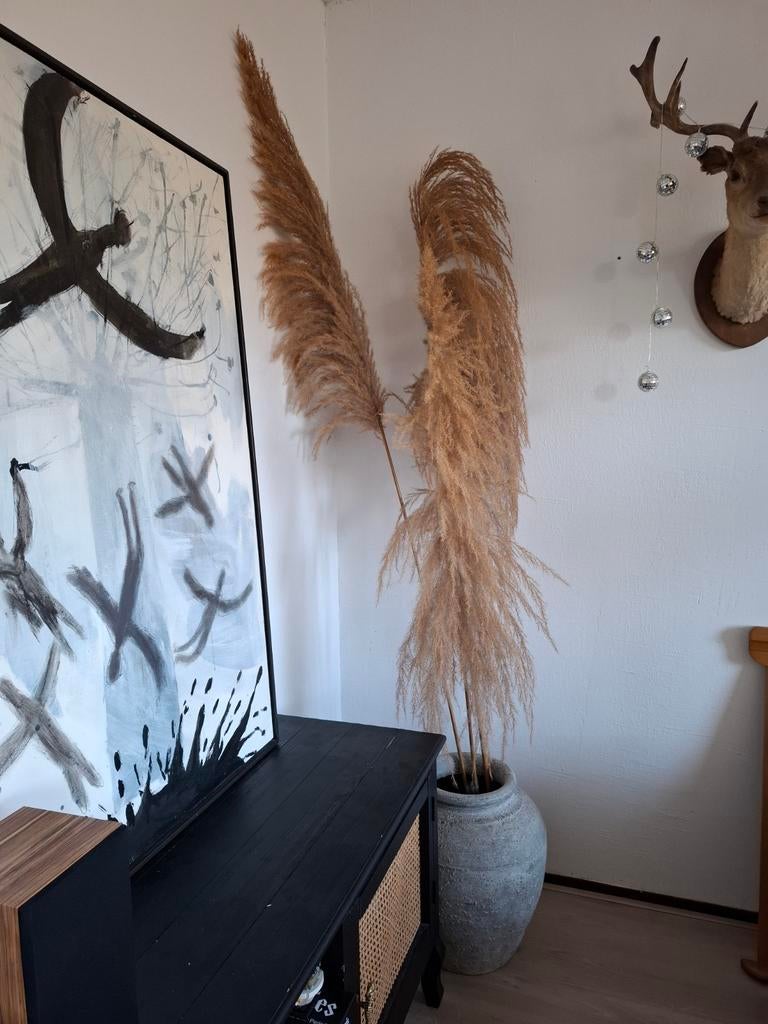 Pampasgras takken - 2 meter - 3 stuks (zonder pot), Ophalen of Verzenden, Zo goed als nieuw