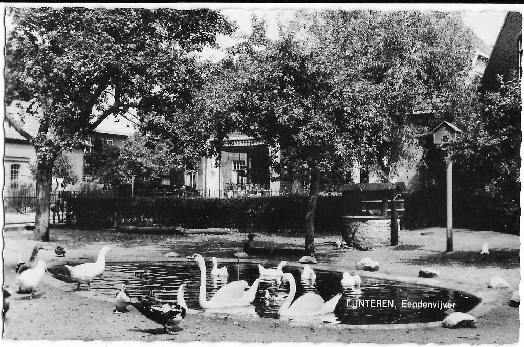 Lunteren, Eendenvijver, eend, gans, zwaan, vogelhuisje, Verzenden, 1960 tot 1980, Gelopen, Gelderland