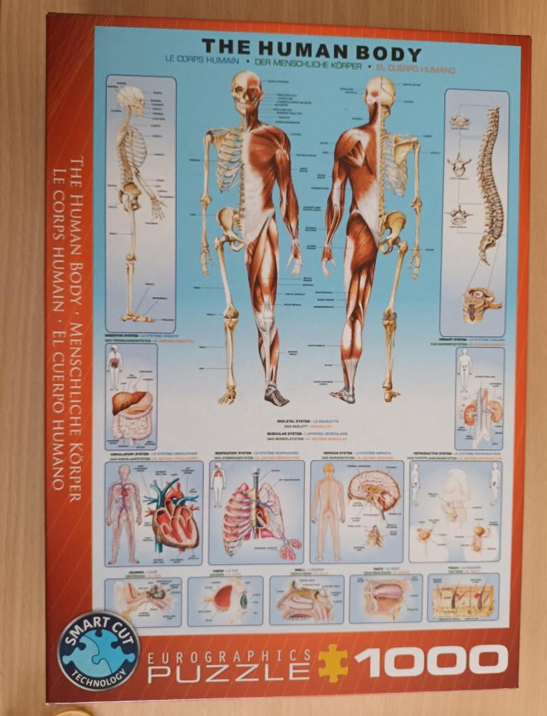 Puzzel The Human Body 1000 stukjes, Ophalen of Verzenden, 500 t/m 1500 stukjes, Zo goed als nieuw, Legpuzzel